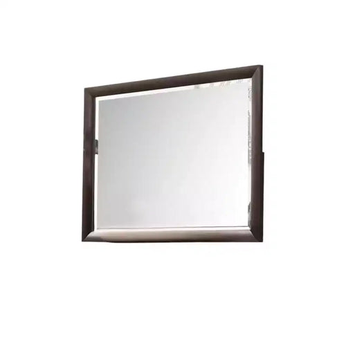 HomeRoots 36 Merlot Wood Framed Mounted Dresser Mirror