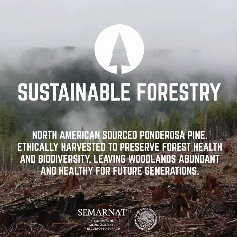 RESTORE Boulder Black Solid Wood End Table by Pipe Decor
